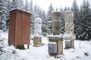 Vier Musterobjekte mit unterschiedlichen Winterschutzmaterialien